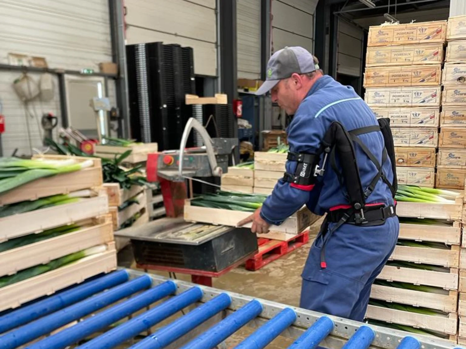 Témoignage d'un exosquelette en maraichage