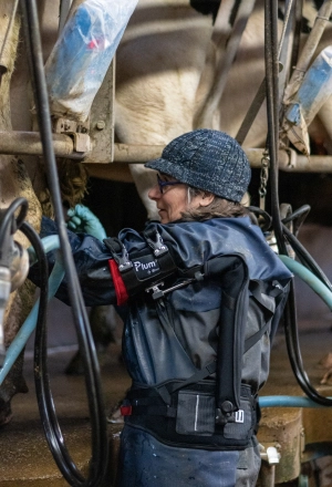 Exosquelette pour la traite des vaches