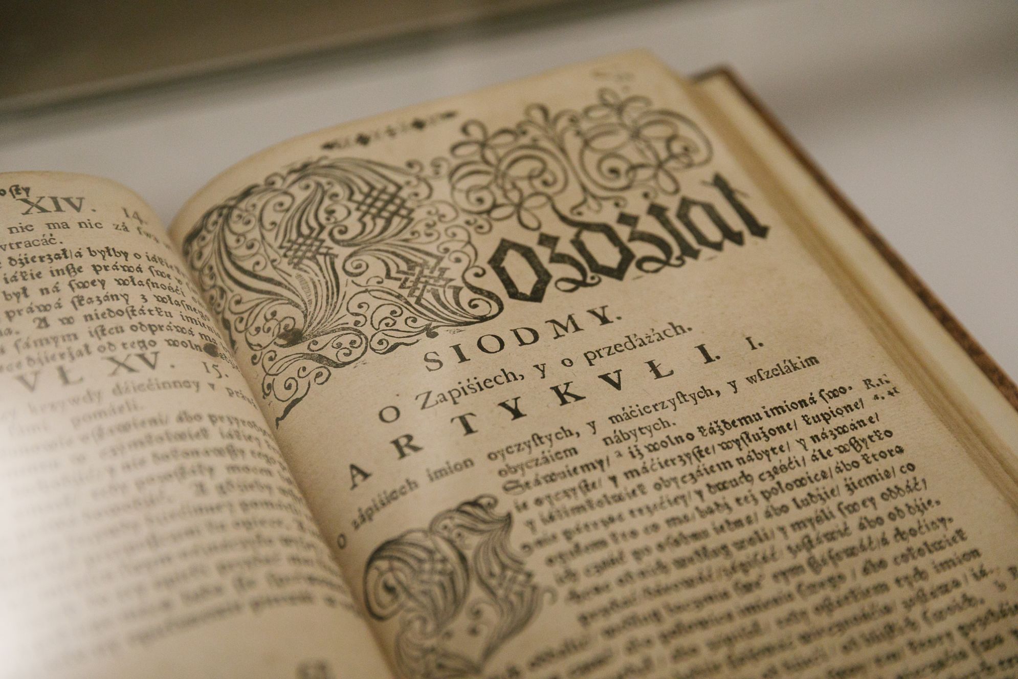 Экспанаты, якія сабрала ініцыятыва «Maldzis». Варшава, Польшча. 7 верасня 2025 года. Фота: Белсат