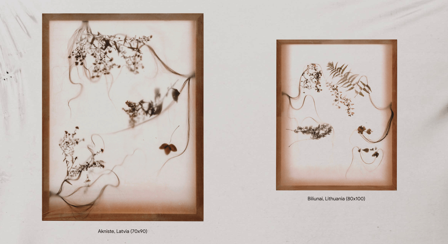 Выстава Марыі Гвардзейцавай