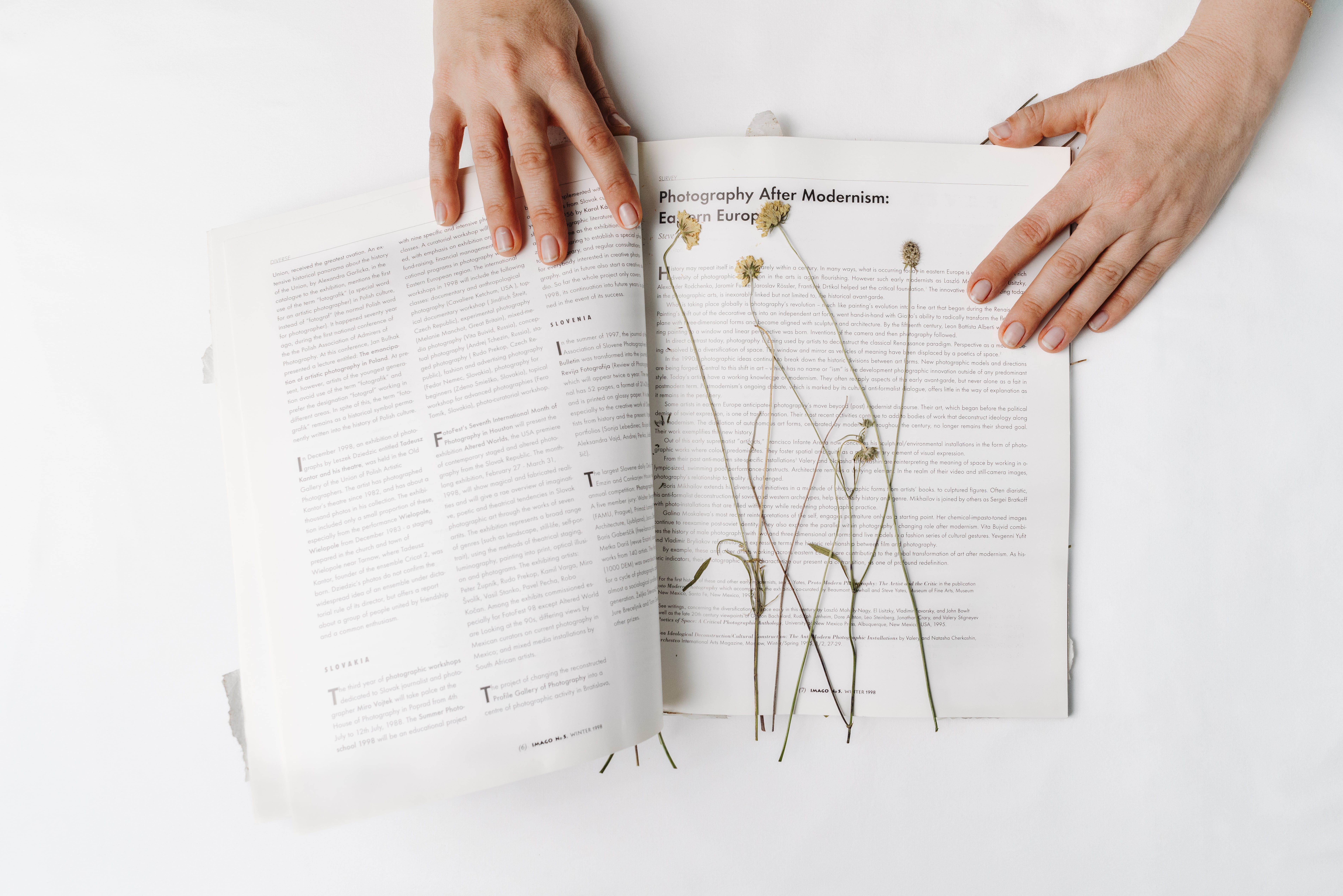 Выстава Марыі Гвардзейцавай