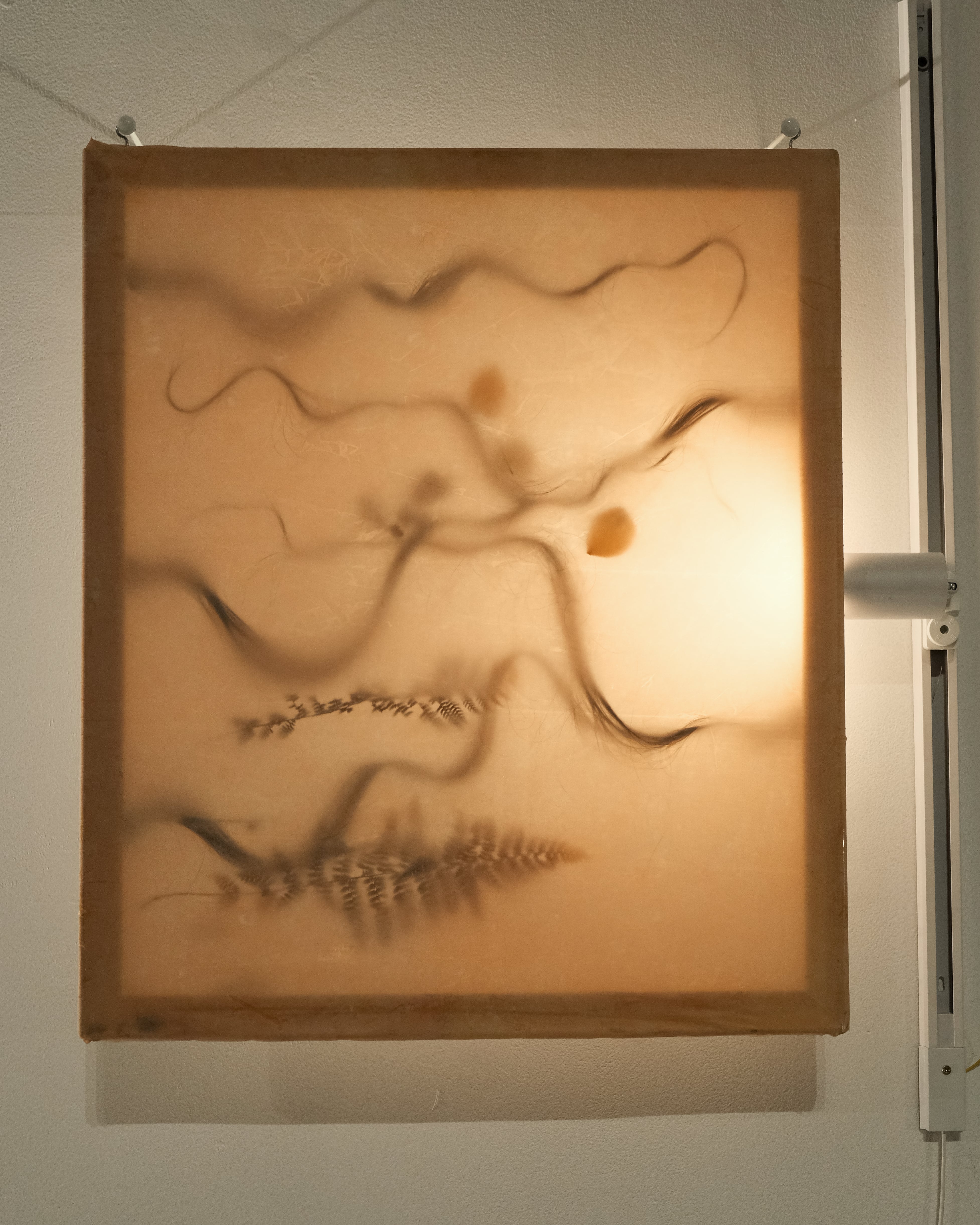 Выстава Марыi Гвардзейцавай