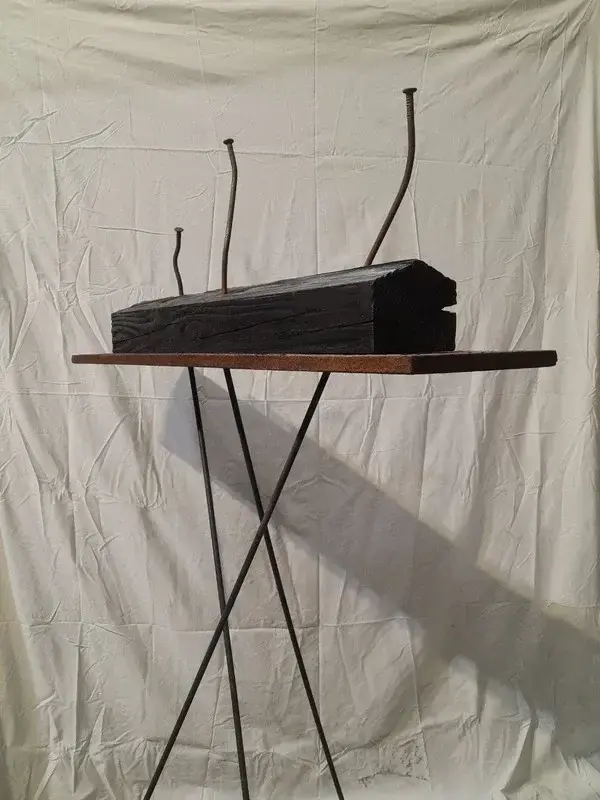 «Дом» Святаслава Камарова