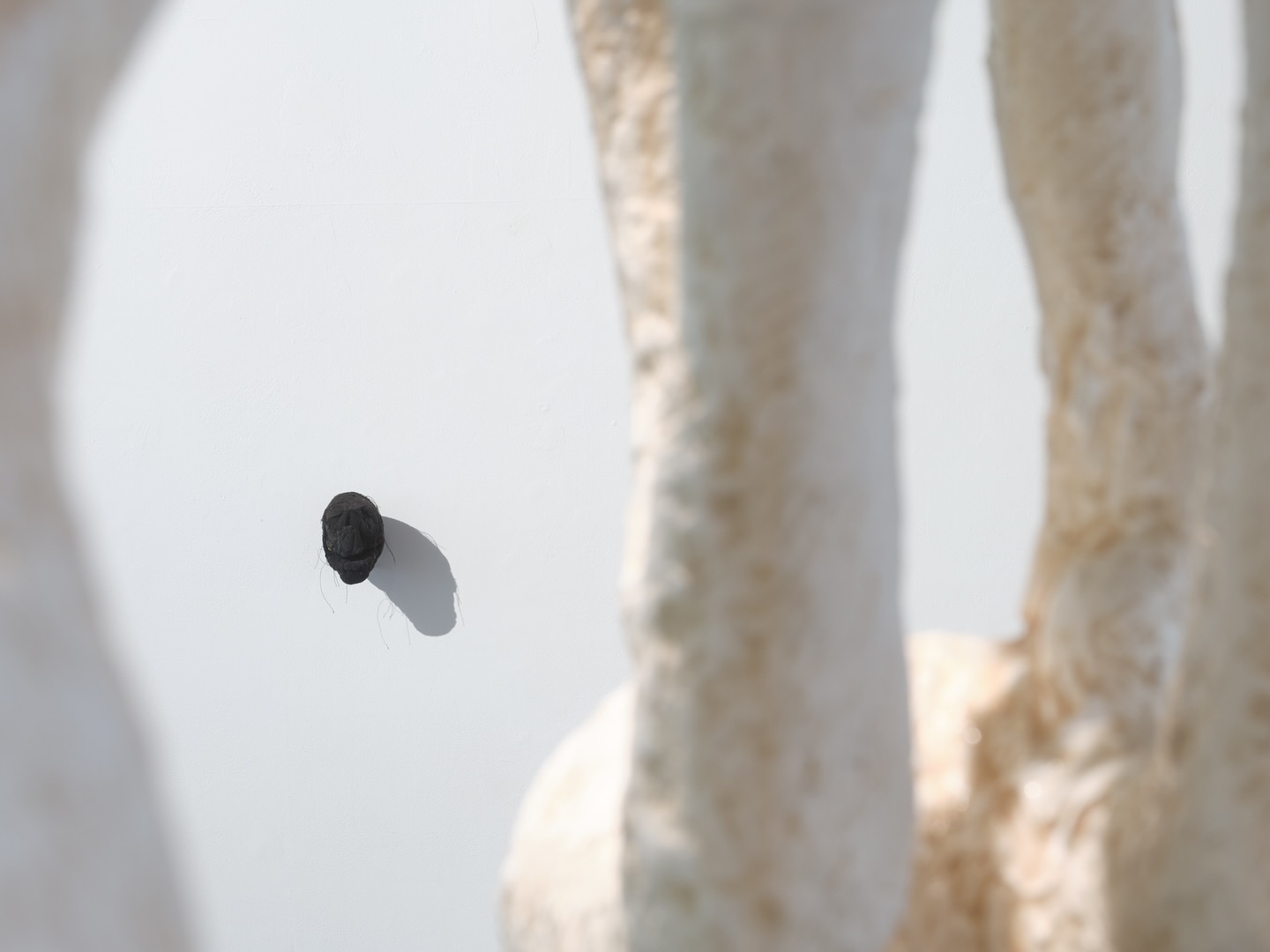 Выстава Whoispola