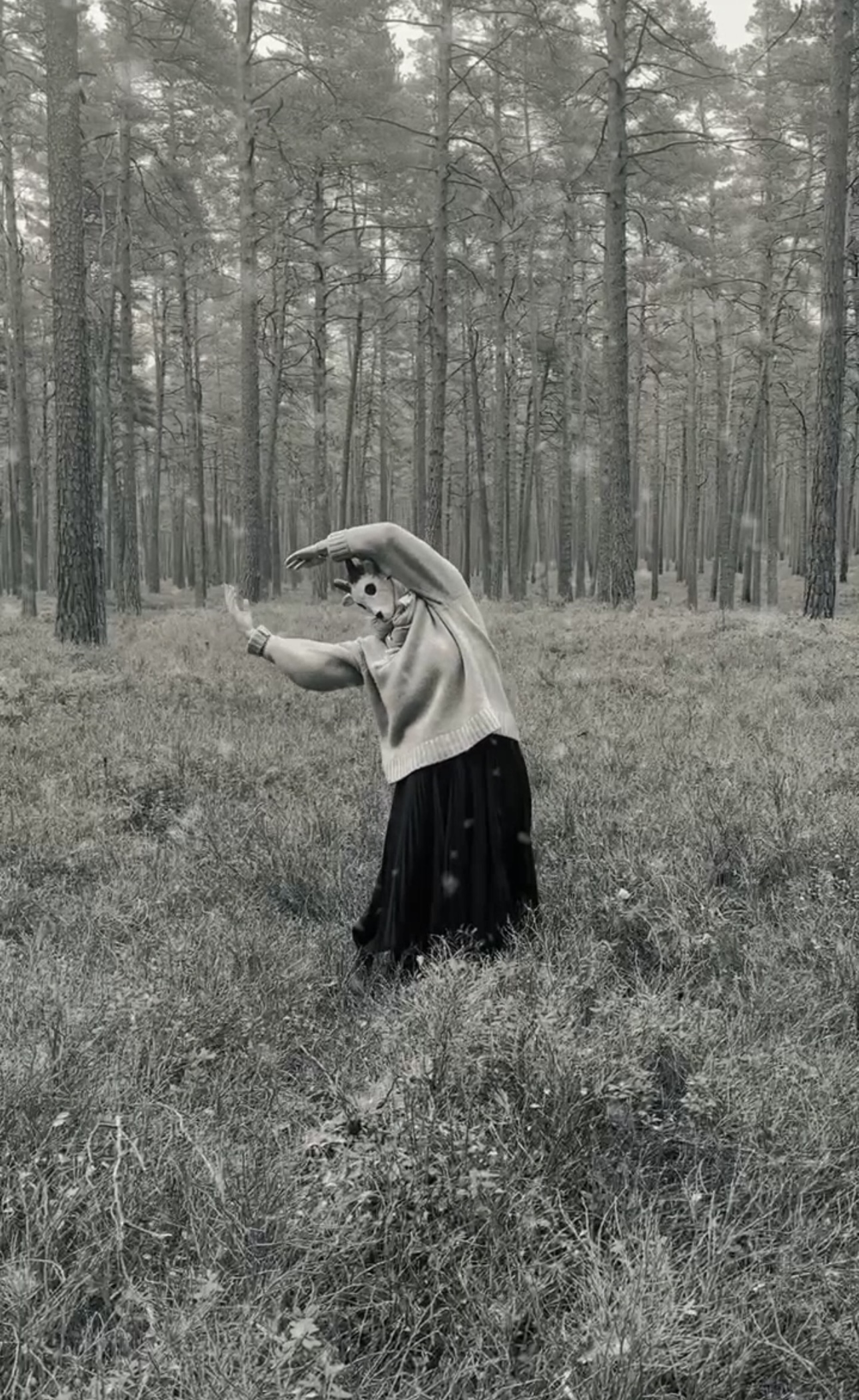 Выстава Марыi Гвардзейцавай