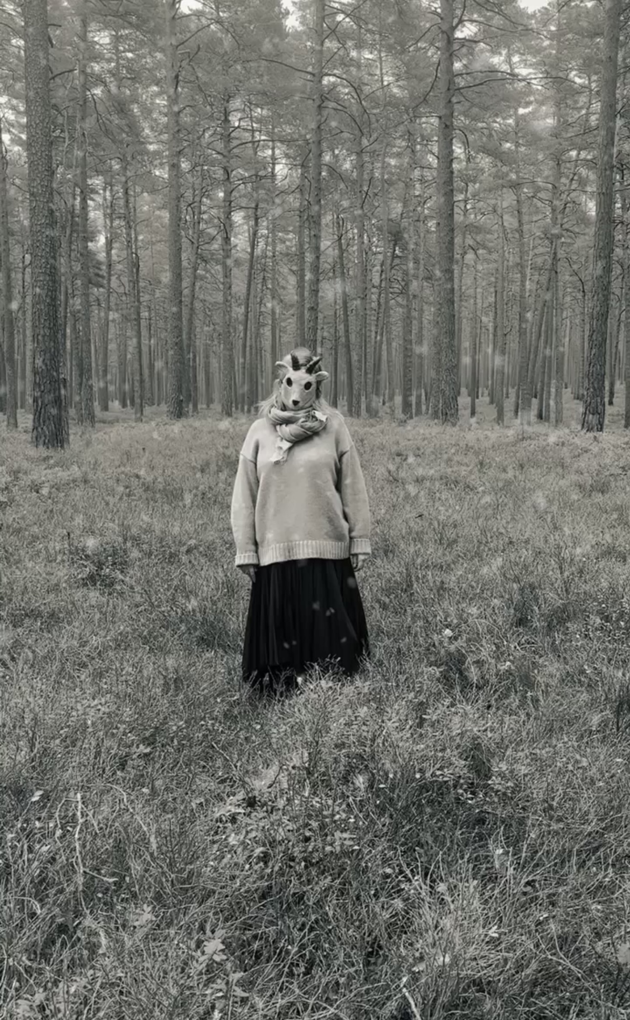 Выстава Марыi Гвардзейцавай