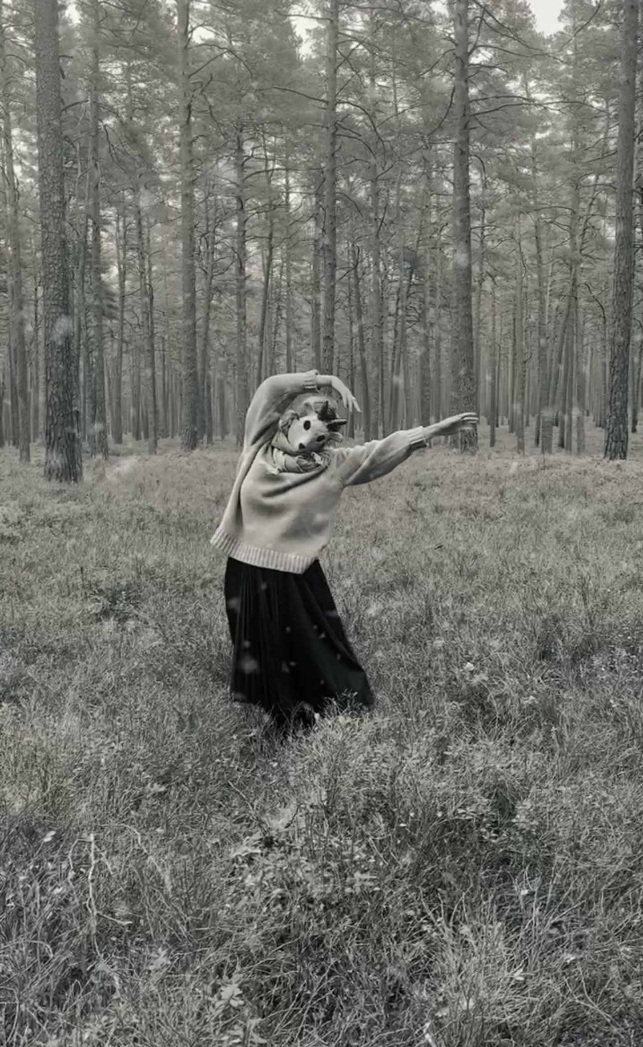 Выстава Марыi Гвардзейцавай