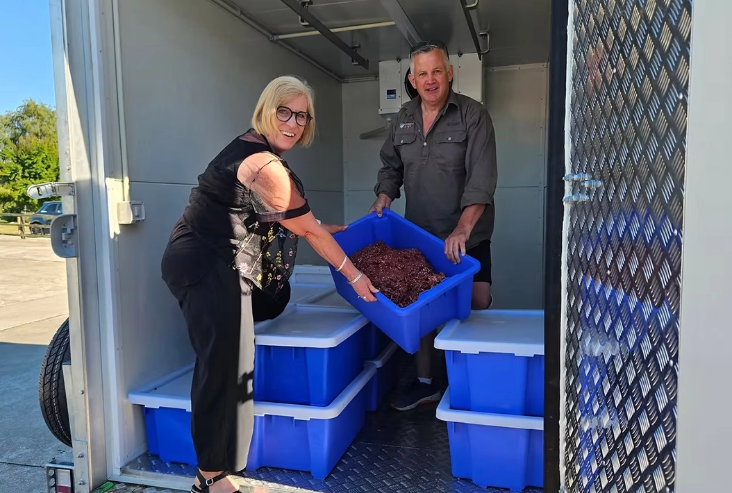 Two people smiling while holding a blue plastic bin filled with brown material inside a trailer with more blue bins stacked.