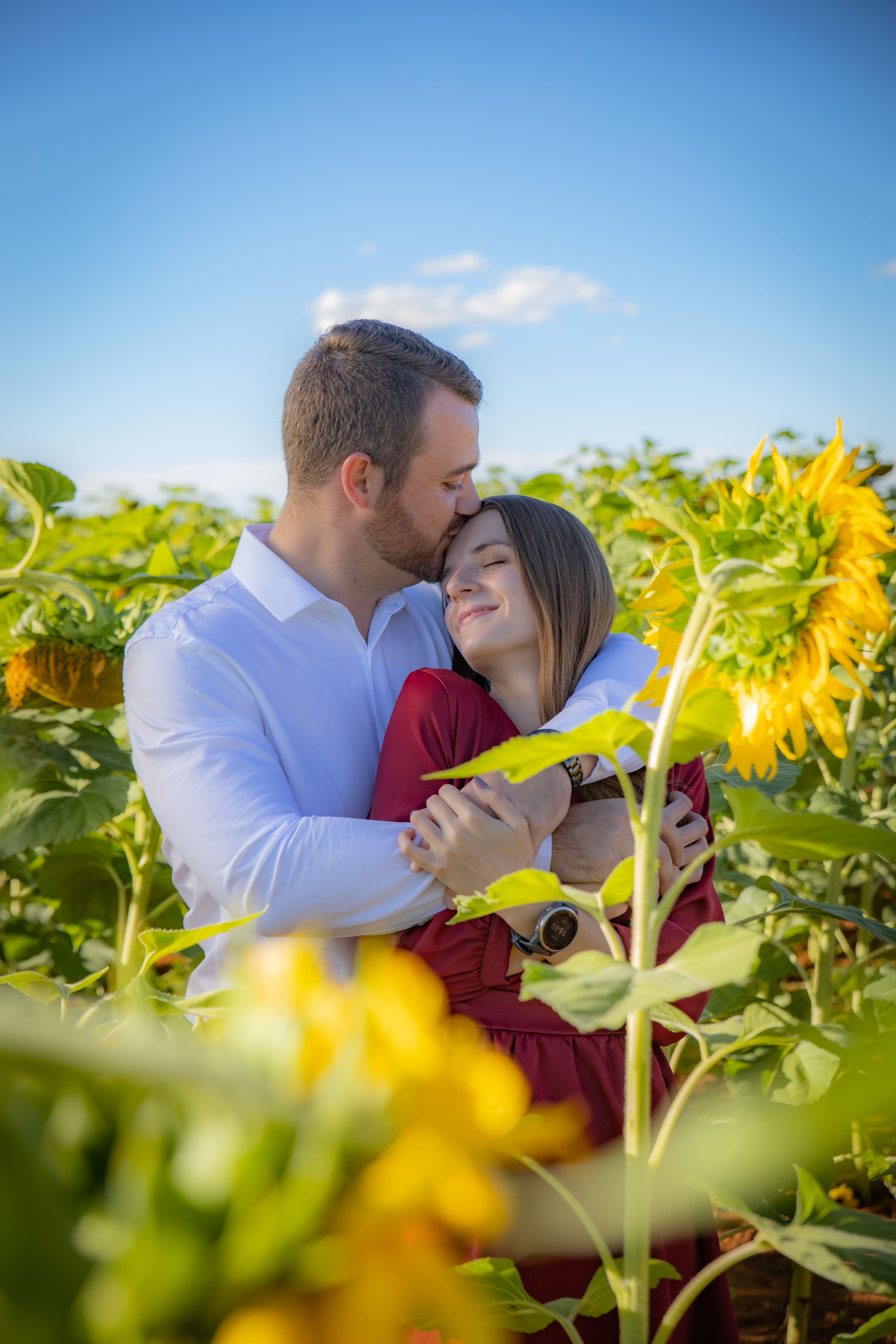 couple in sunflowers