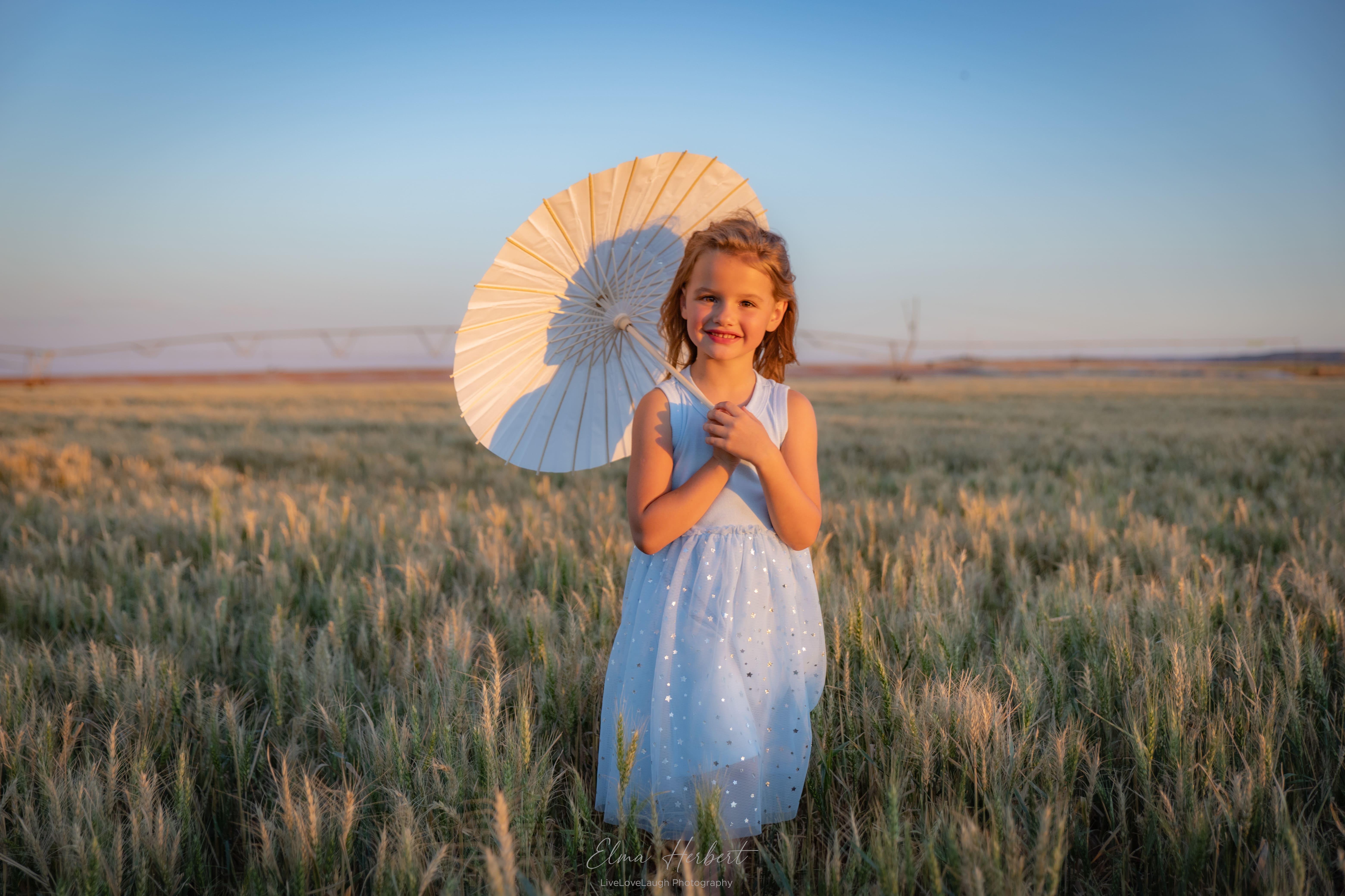 family photoshoot in a wheat field