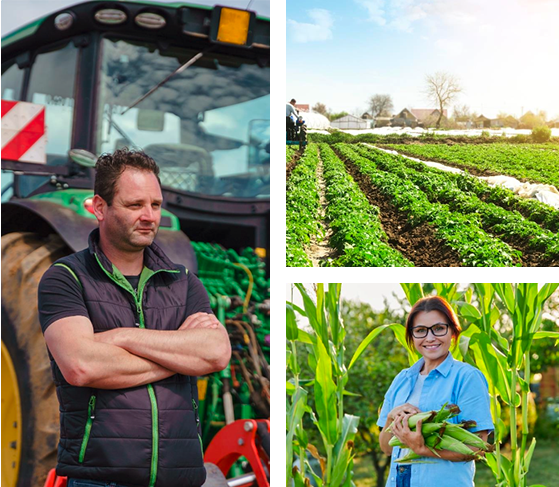 Image of Tumbleweed Users