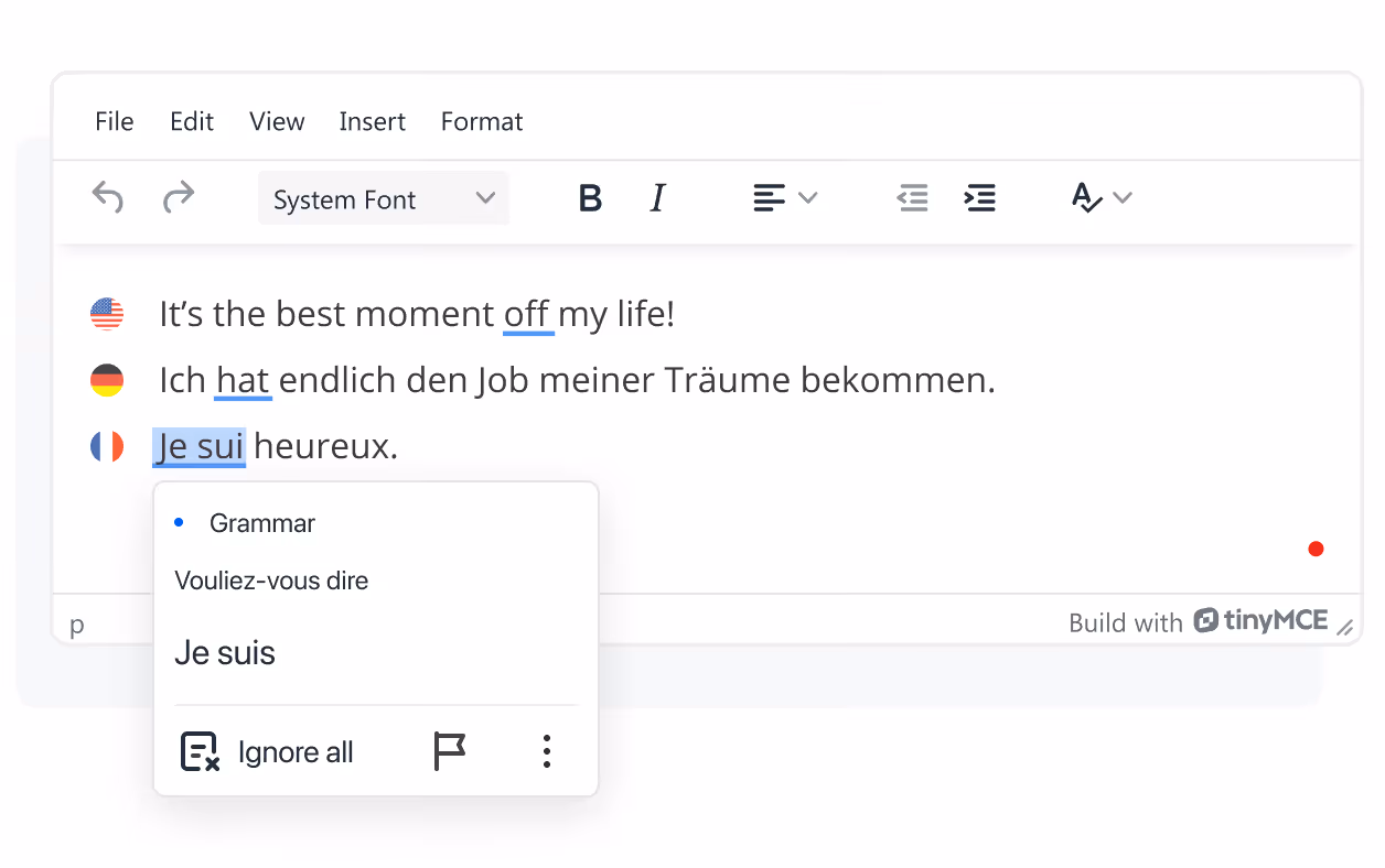 WProofreader TinyMCE plugin language autodetect performance