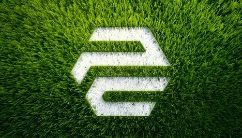 Publisher Collective Sport category illustration