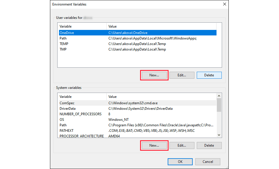 Windows Environment Variables