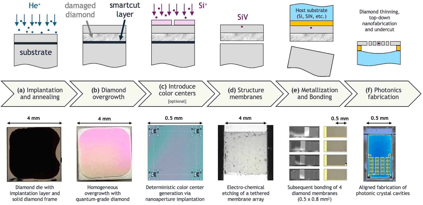 Steps of the thin film production process.  Top: Schematic representation of the processing step. Bottom: Real-world imagery of the corresponding steps.