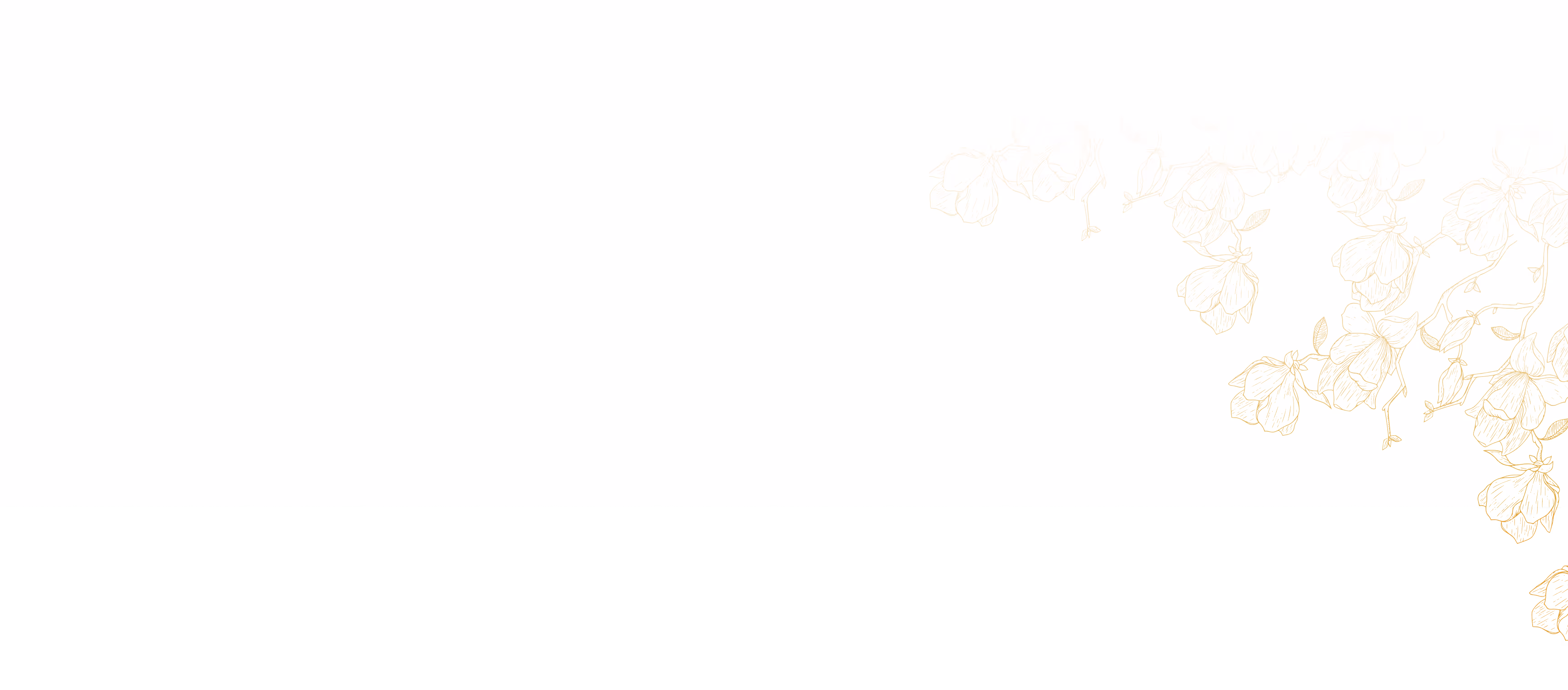 Delicate light gold floral sketch pattern on a white background, positioned in the top right corner.