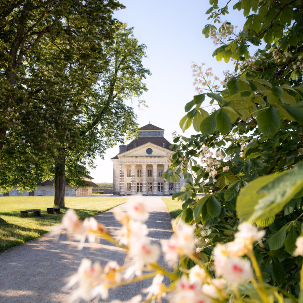 Saline Royale d'Arc-et-Senans au loin avec au premier plan des fleurs roses