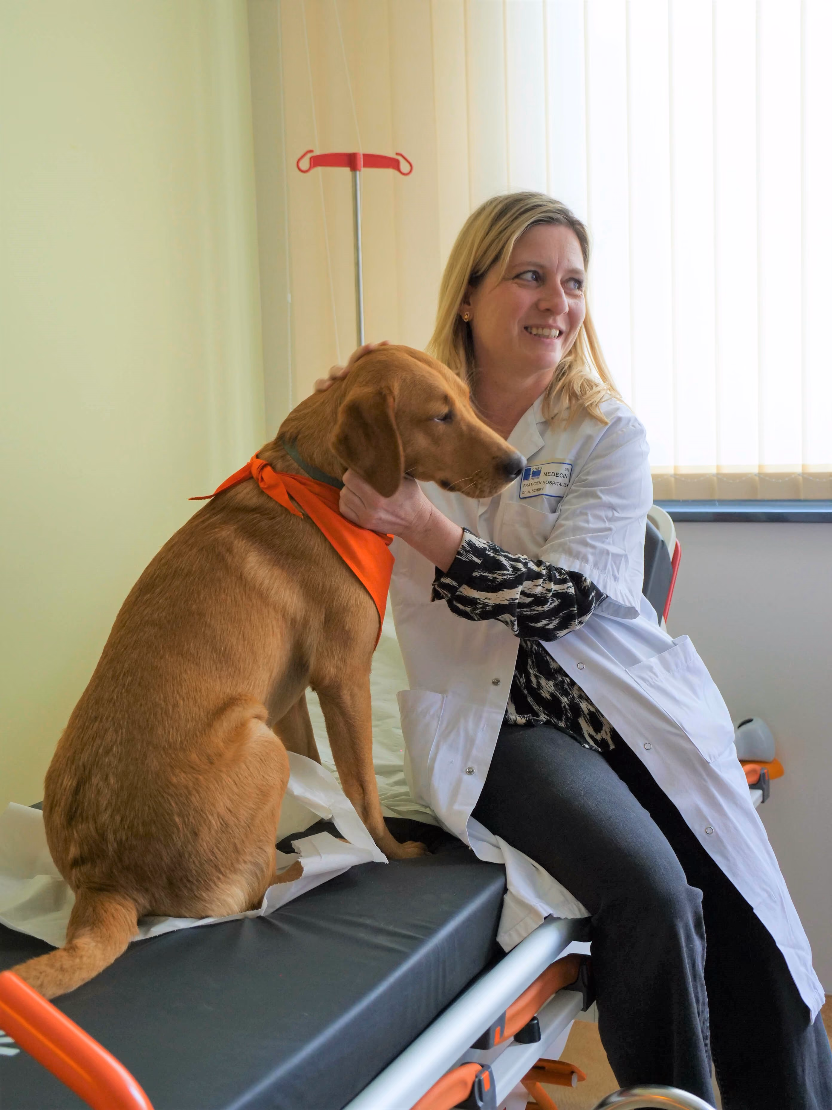 Image d'une femme blonde avec une blouse blanche sur un brancard d'hôpital tenant dans ses bras un labrador 