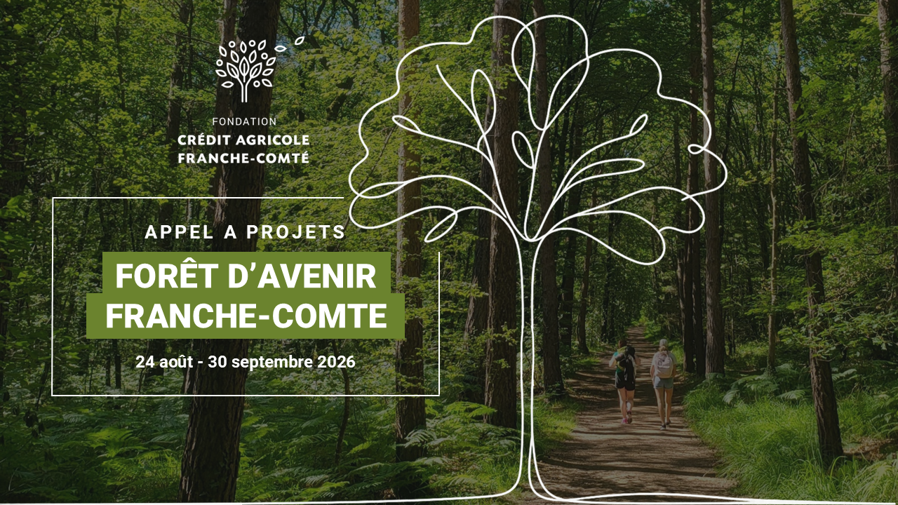 Image d'une forêt en arrière plan avec deux personnes marchant de dos