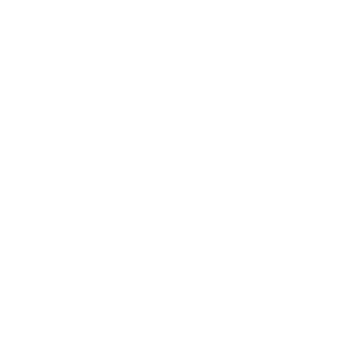 Phone icon top header