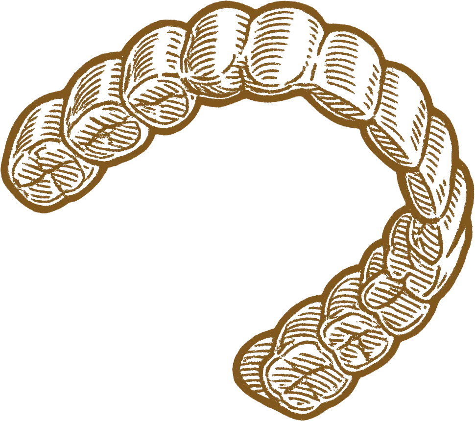 Brown and white stylized illustration of a large intestine or colon