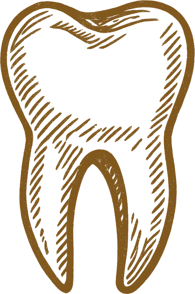 Hand-drawn brown sketch of a tooth with root and textured lines