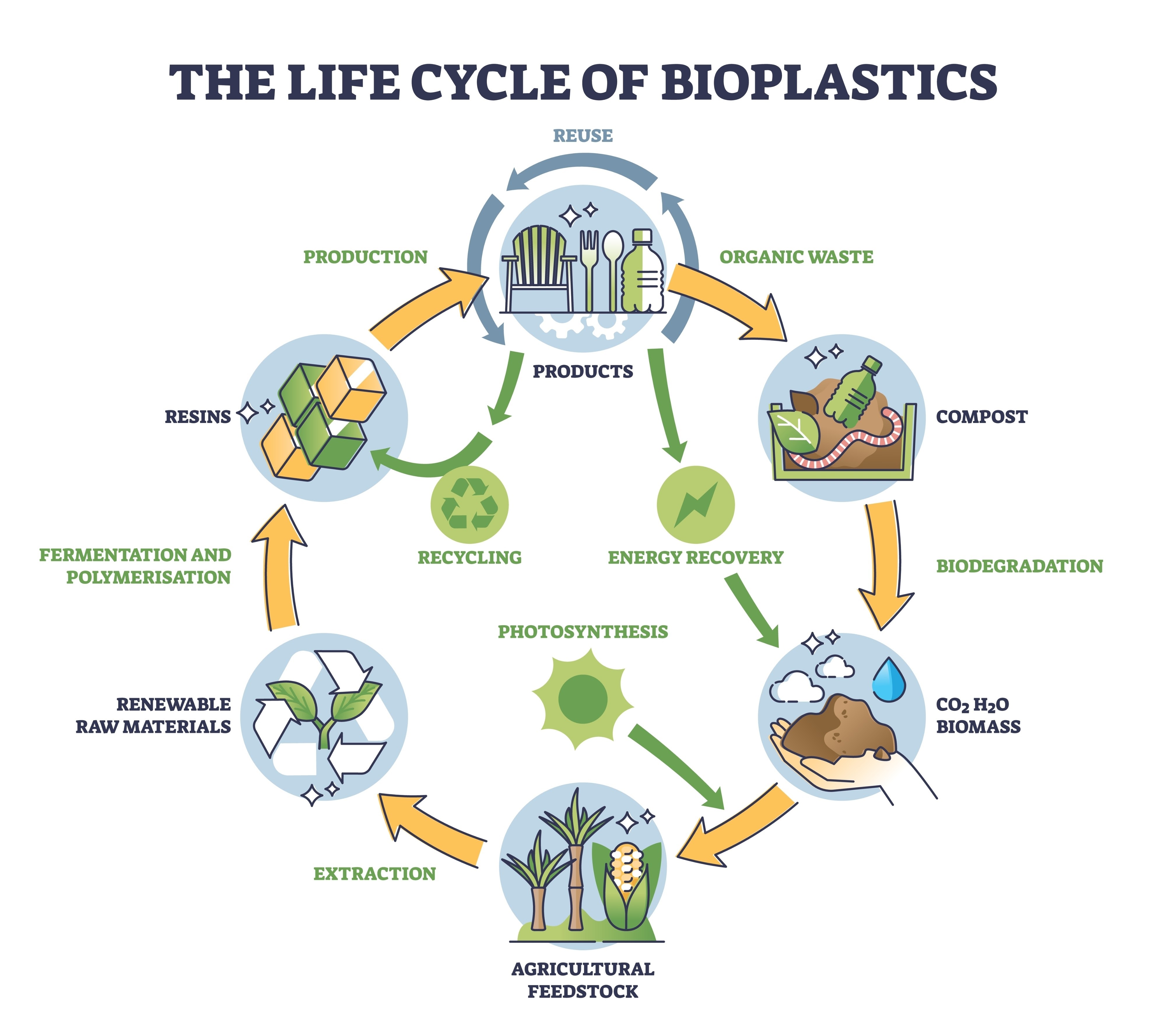 Image of the biodegradation cycle of compostable materials