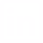 LinkedIn Icon