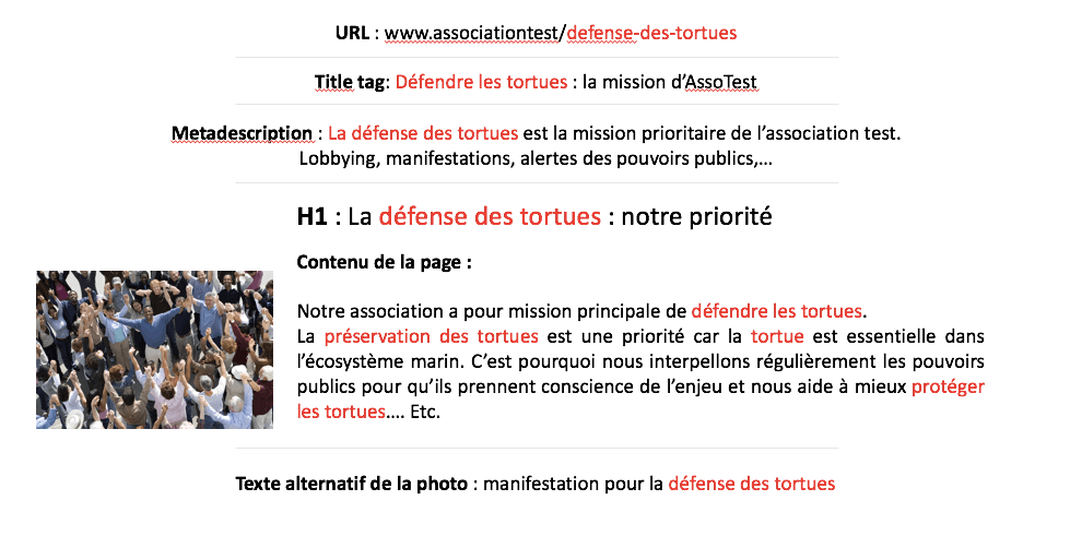 Optimisation du référencement d'une association - optimisation on-page assoconnect