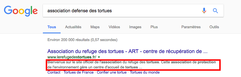 référencement google association assoconnect Exemple de métadescription