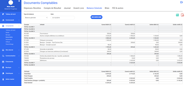 exemple de balance générale d'association