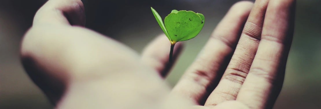 mecenat de competences associations assoconnect