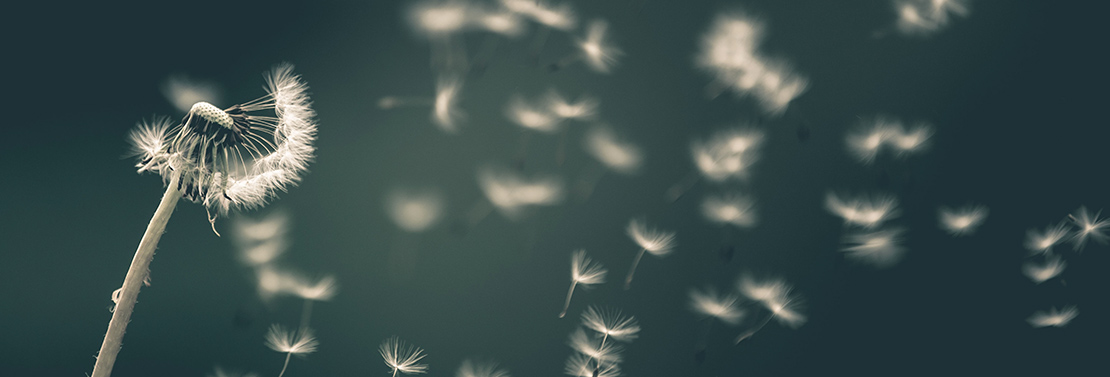 bonnes résolutions association