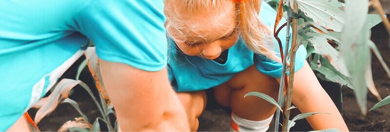 compte engagement citoyen cec association