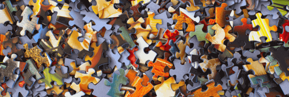 construire organiser reseau associatif