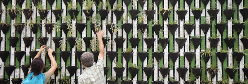 service civique benevoles association