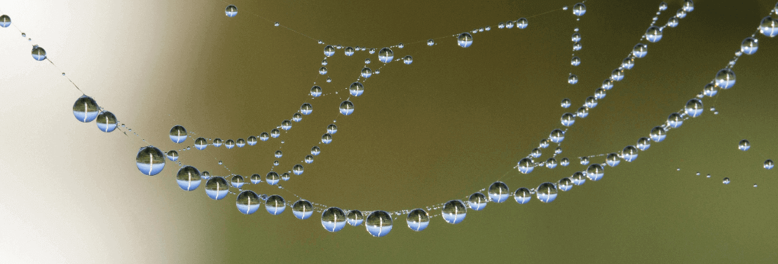 communication reseaux associations