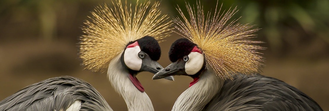 comment choisir prestataire informatique association