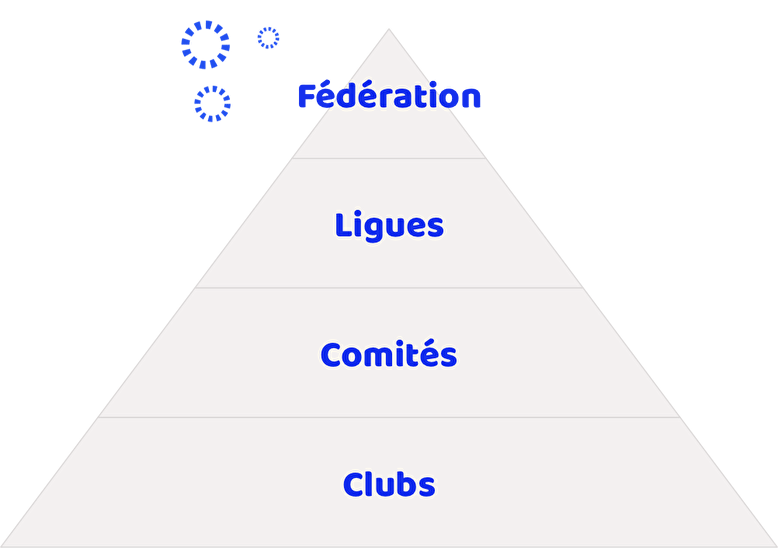 schéma structure de fédération sportive