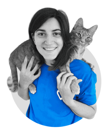 louise chat assoconnect