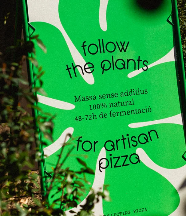 Momentum Growth Initiative