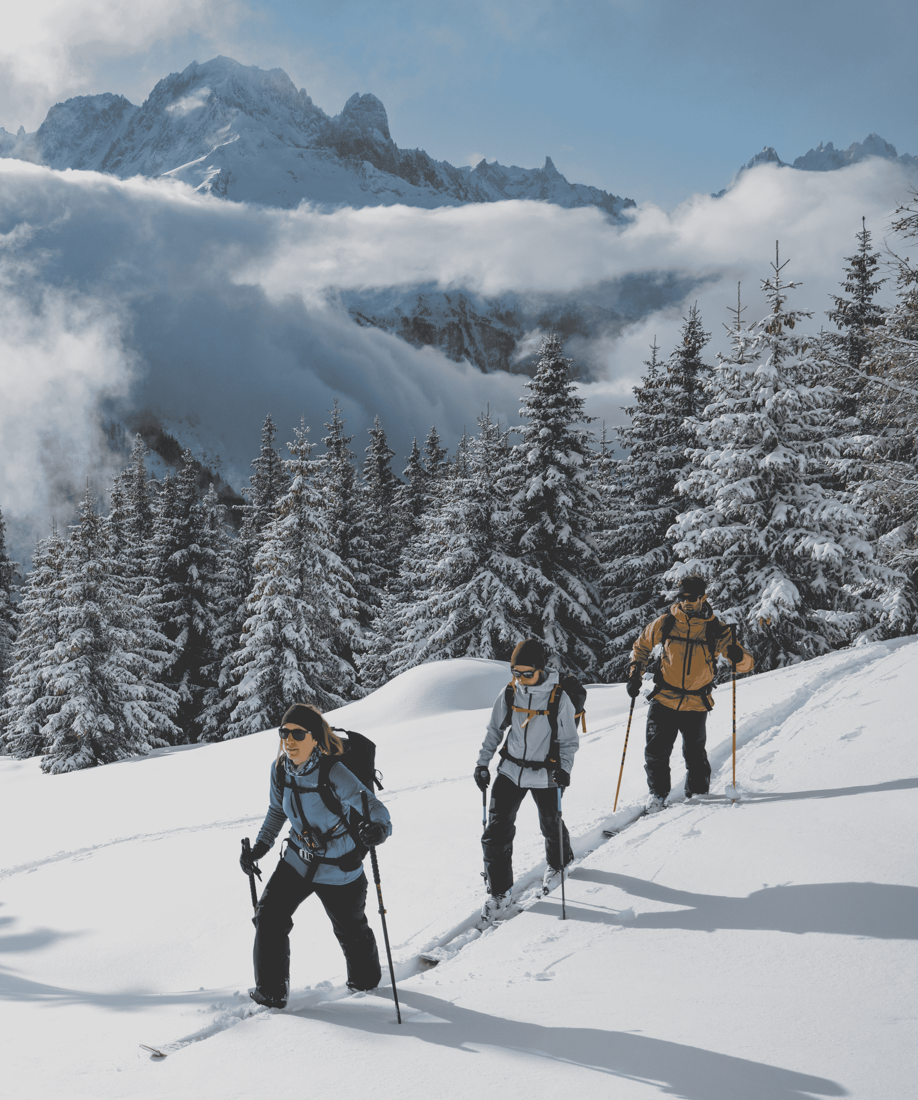 Groupe de trois randonneurs à ski progressant dans la neige fraîche à travers une forêt enneigée.