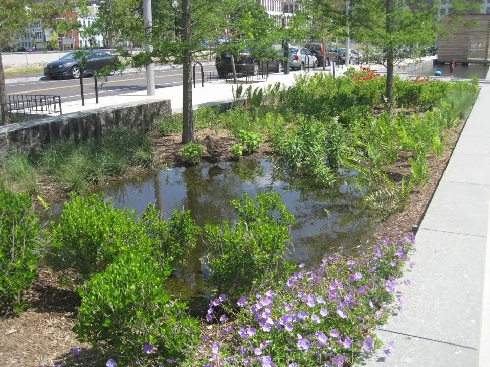 Rain Gardens