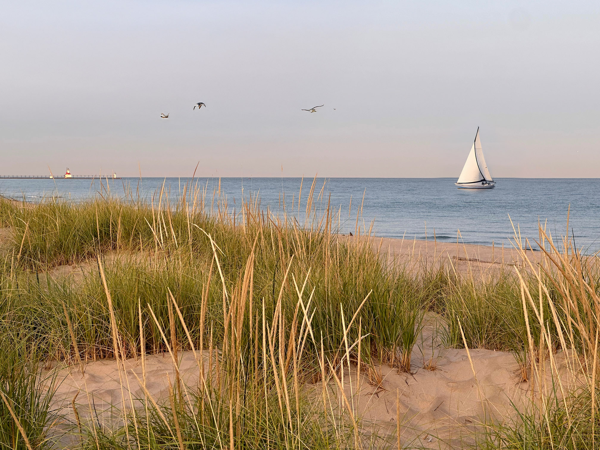 View of Lake Michigan from the dunes with a lighthouse and sailboat in the background.