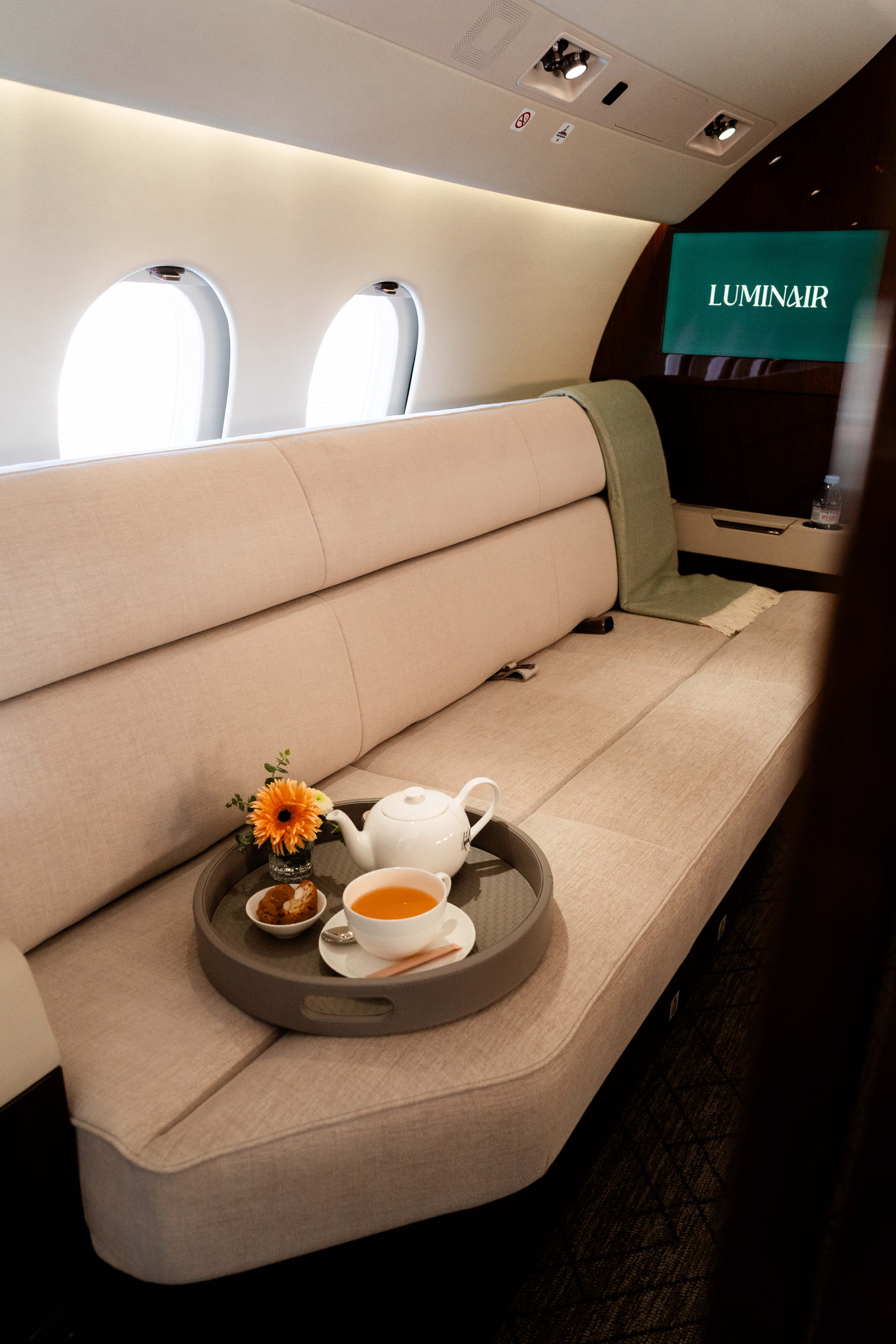 Luminair branded pillow