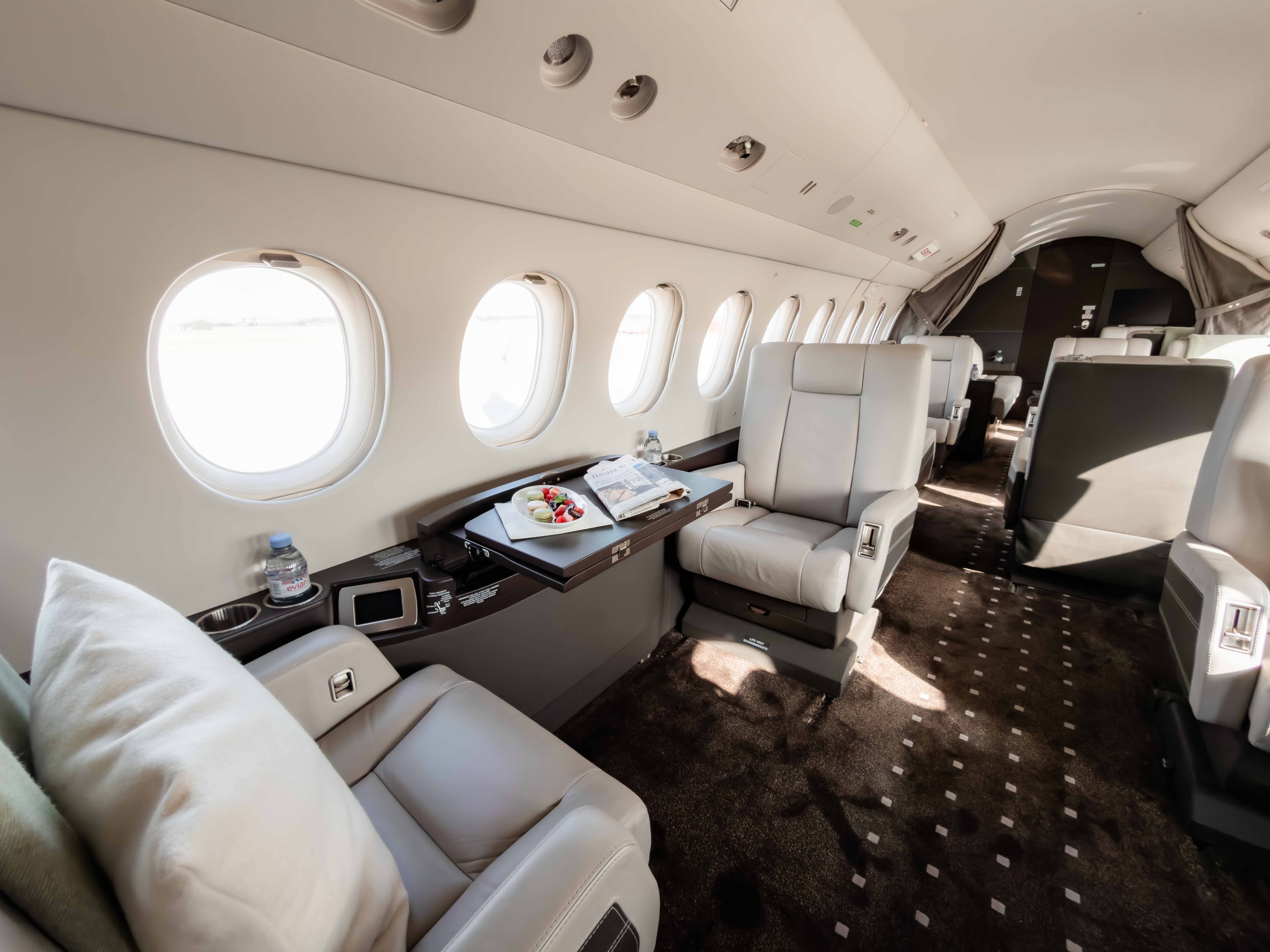 A cute dog sitting on a jet seat