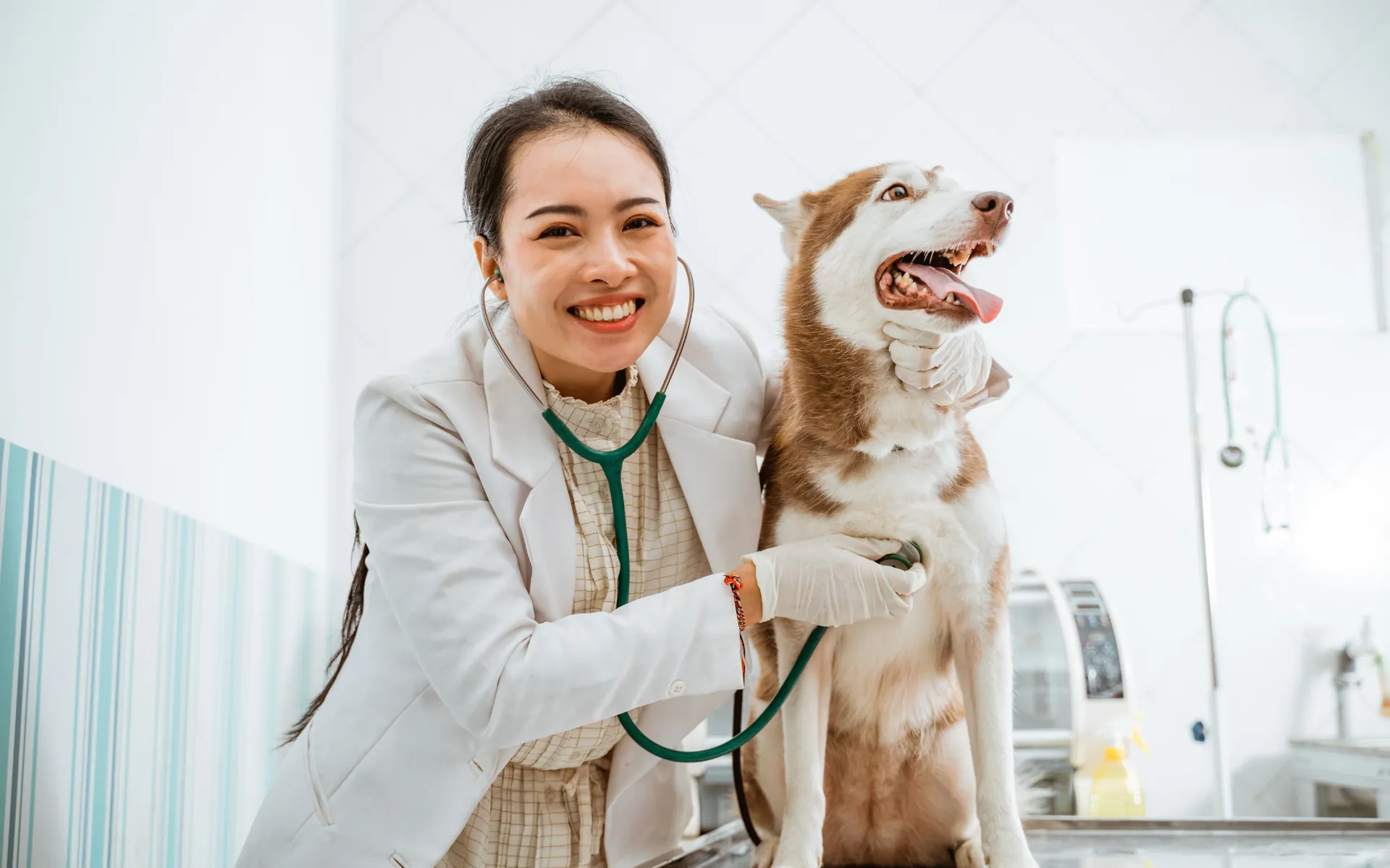 A woman holding a husky dog.