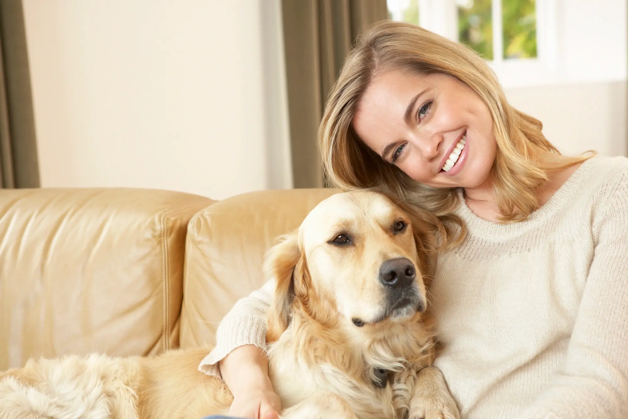 A person sits on a sofa, cuddling a golden retriever, creating a warm and cozy atmosphere in a well-lit room.