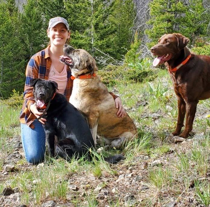 Person kneeling with three dogs in a grassy area with pine trees in the background.