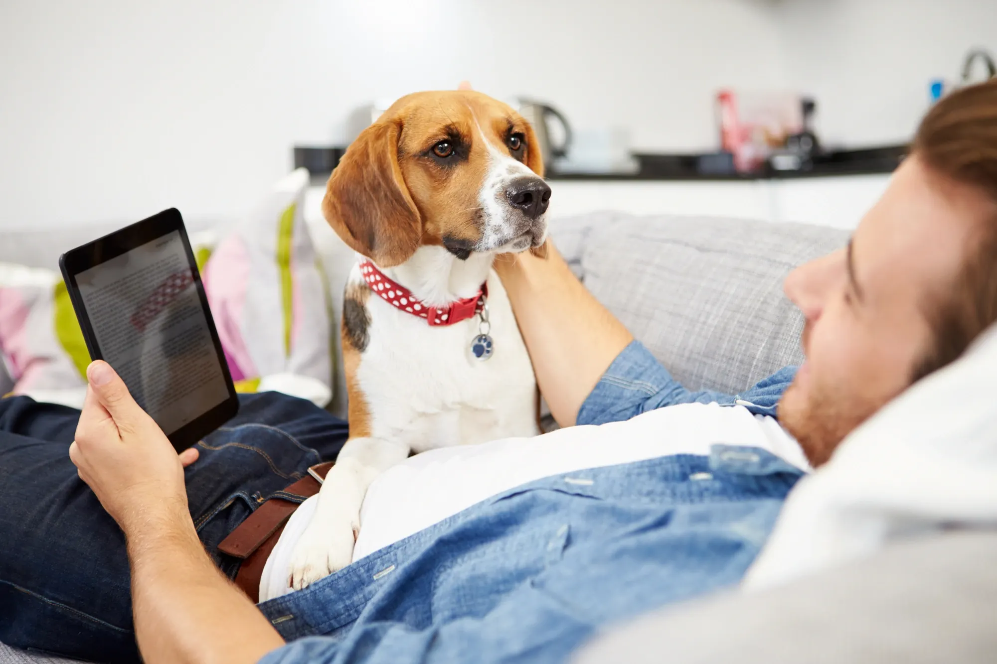 A person relaxing on a couch, using a tablet while a small dog sits beside them, both engaged in a cozy indoor moment.